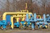 skf image
