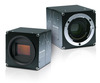 svs-vistek image