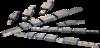 trans dev image 1