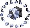 apex dynamics image