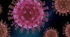 STOCK virus