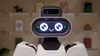 robot designed for repetitive