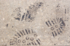 Maintaining safety through floor cleanliness